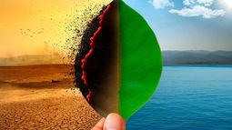 Día del Medio Ambiente - Crisis ambiental