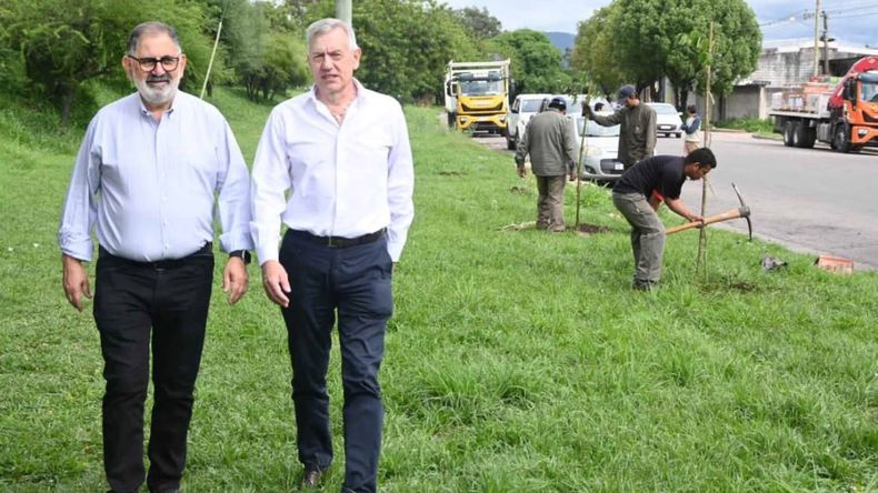 El Municipio impulsa programa de arborización masiva en toda la ciudad El Municipio impulsa programa de arborización masiva en toda la ciudad