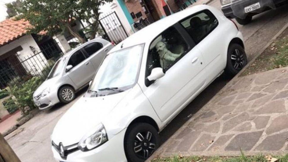 Dejaron un perrito encerrado en el auto frente a la plaza y generó bronca en los vecinos