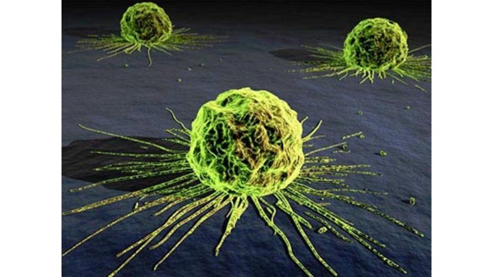 Investigación en cáncer