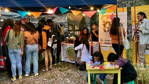Todo Jujuy | festival de ciencia jujuy.jpg