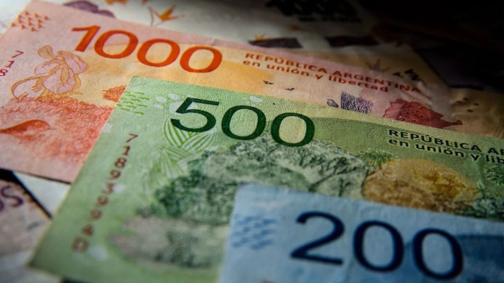IFE 5 de ANSES: ¿Cómo actualizar los datos del formulario?