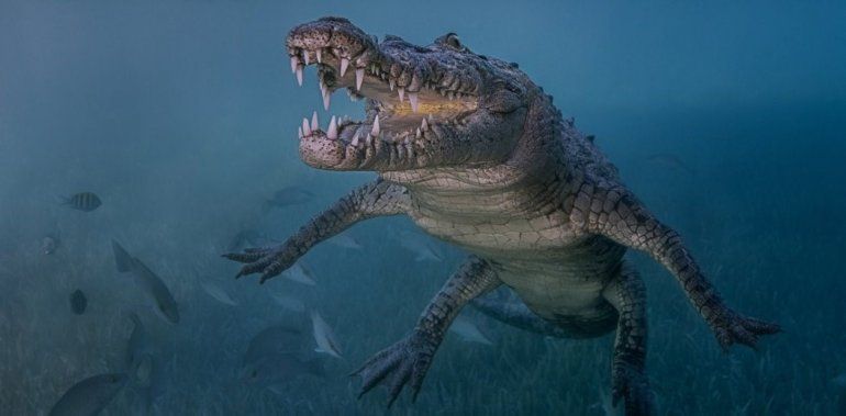 dinosaurio (1).jpg