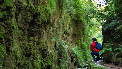 Todo Jujuy | Al este de la Cordillera de los Andes se extiende una vasta región que alberga una biodiversidad excepcional.