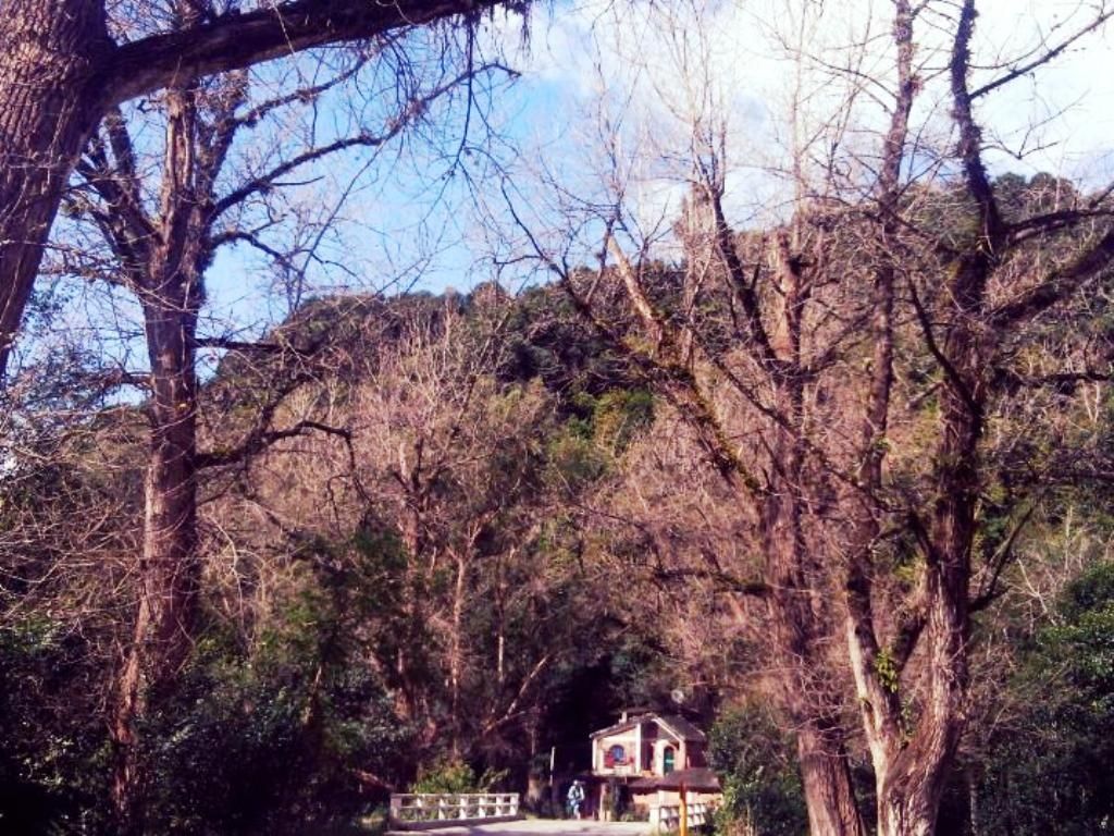 Los Nogales