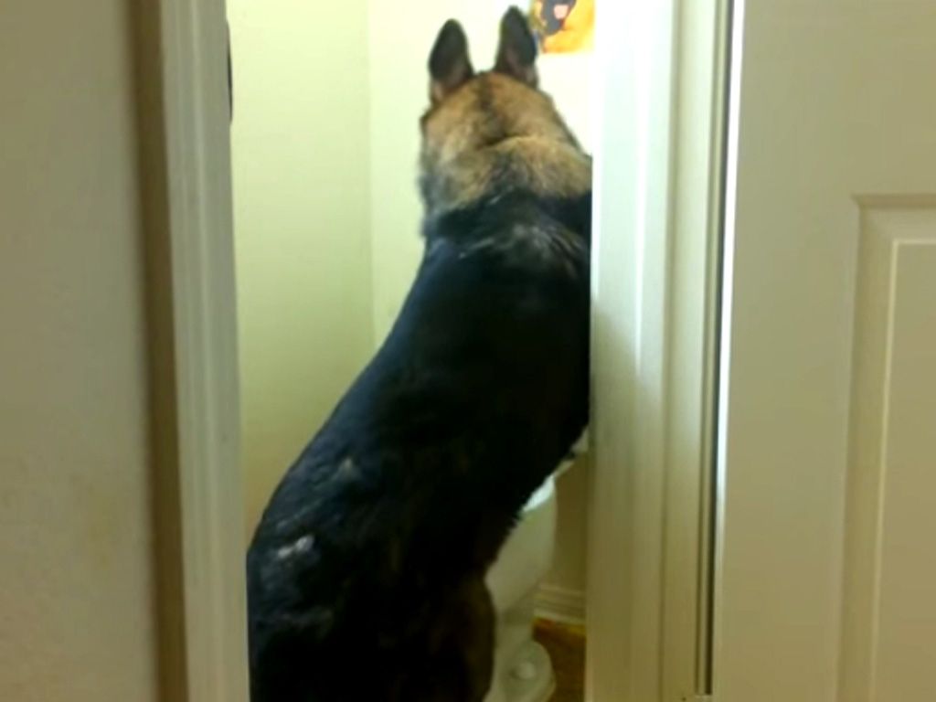 Barón