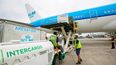 El Gobierno inició el proceso de privatización de Intercargo. &nbsp;