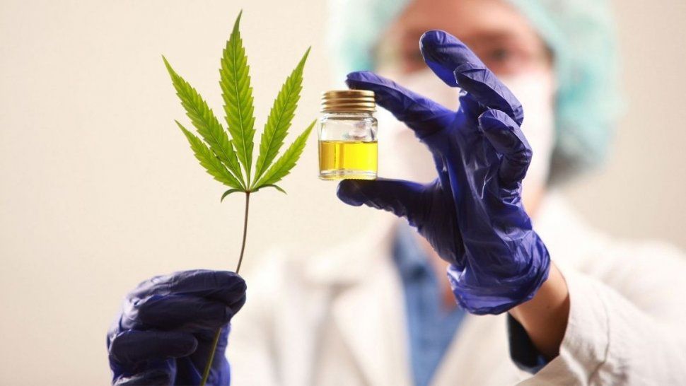 Aceite de cannabis medicinal.