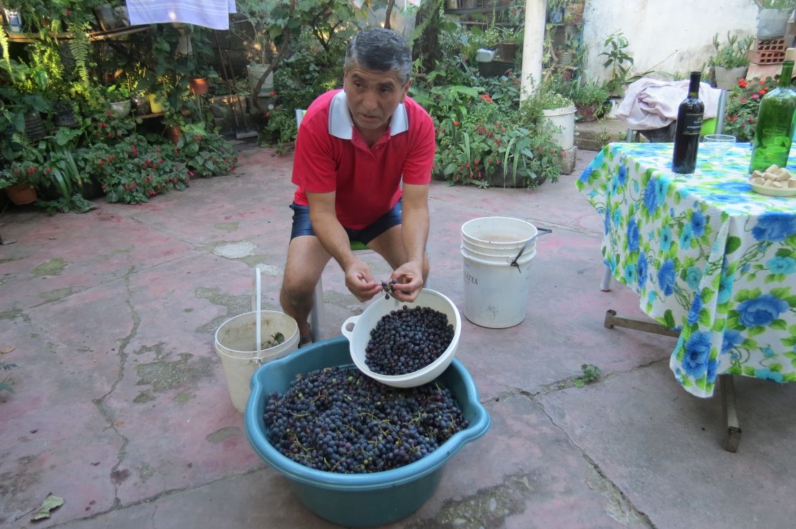 Jesús Herrera