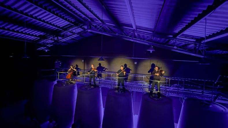 La Vendimia del Bayeh 2025.