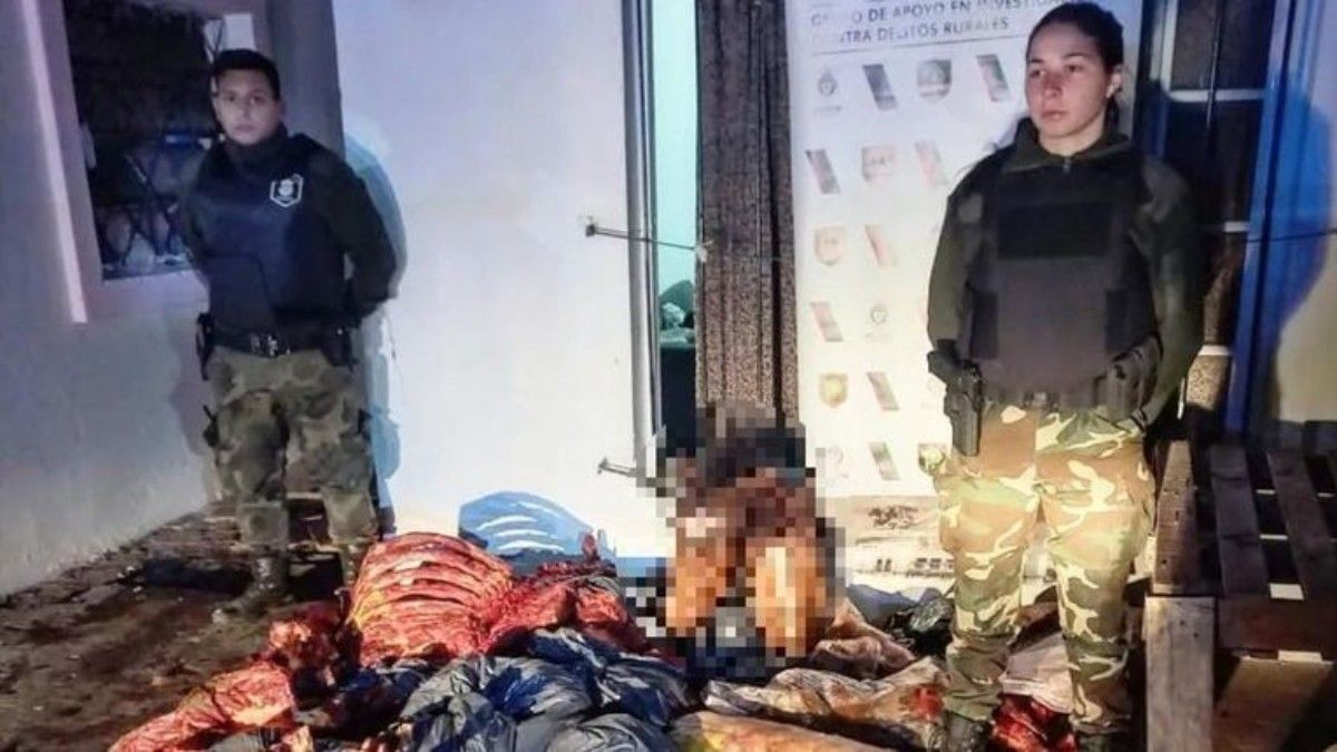 Desarmaron un matadero clandestino de caballos.&nbsp;