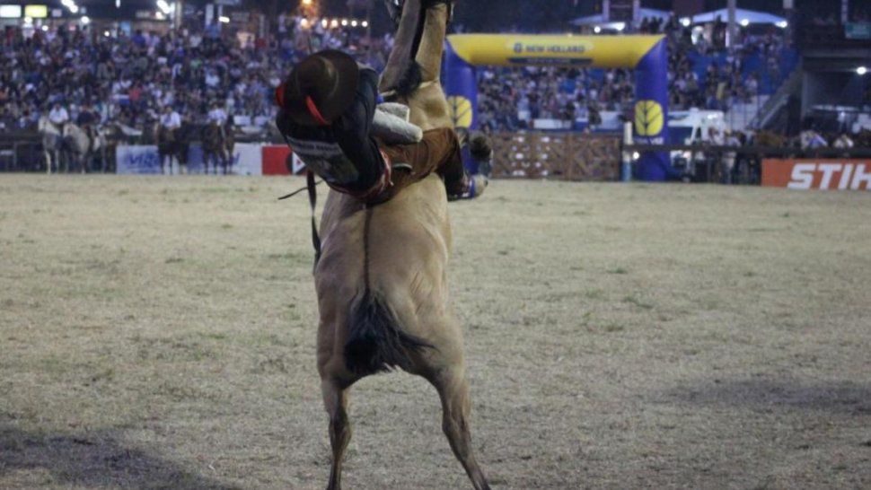 Festival De Jesús María Un Jinete Murió Aplastado Por Un Caballo 0370