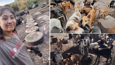 Llamado a la solidaridad.