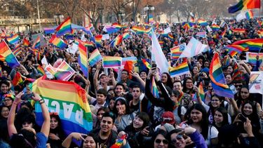 El matrimonio igualitario obtuvo media sanción en Chile.&nbsp;