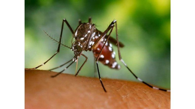 Caso de Chikungunya en España