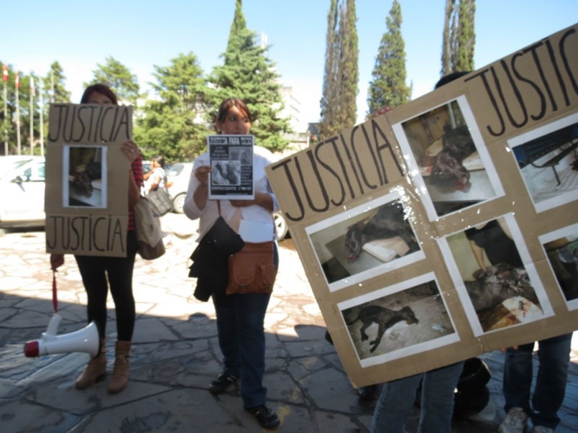 Marcha de protectoras