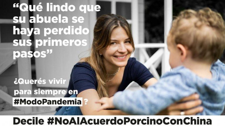 #ModoPandemia. La campaña que junta firmas para evitar las megagranjas porcinas.