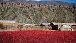 Este pequeño pueblo cuenta con alrededor de 400 residentes.
