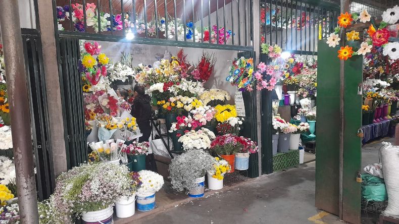 Paseo de las Flores (3)