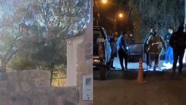 Un puma en la Quebrada de Humahuaca.