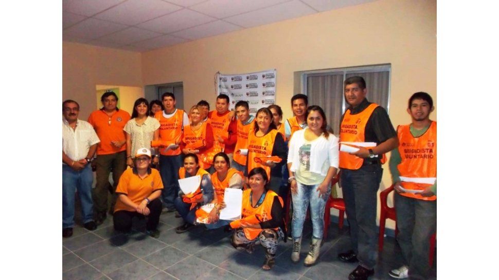 Brigadistas voluntarios