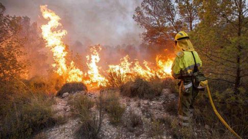 Todo Jujuy | incendios forestales.jpg