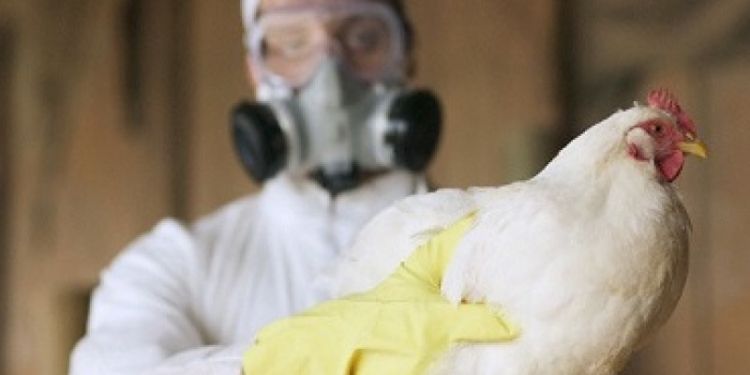 senasa capacita a productores avicolas de tilcara y palpala