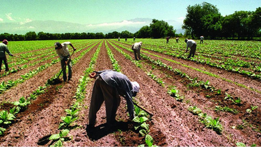 Actividad económica en Argentina. Actividad económica en Argentina.