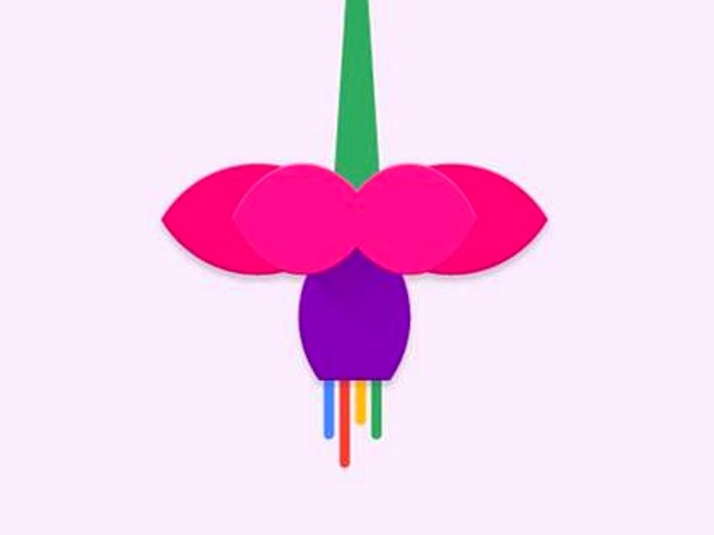 Fuchsia