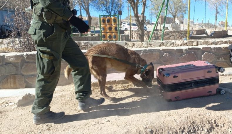 Detenido con cocaína en La Quiaca.