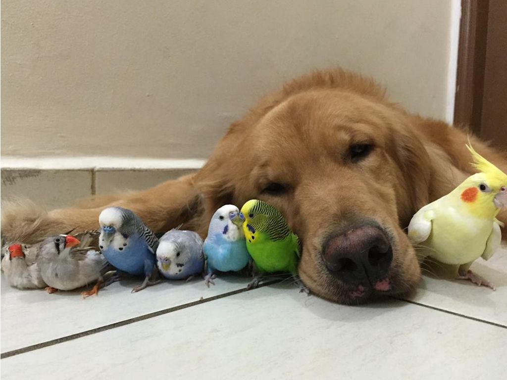 Bob y sus compañero de la casa