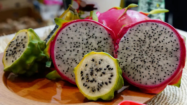El 30% de la pitahaya del país sale de Jujuy