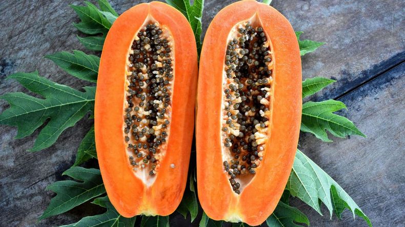 Papaya (1)