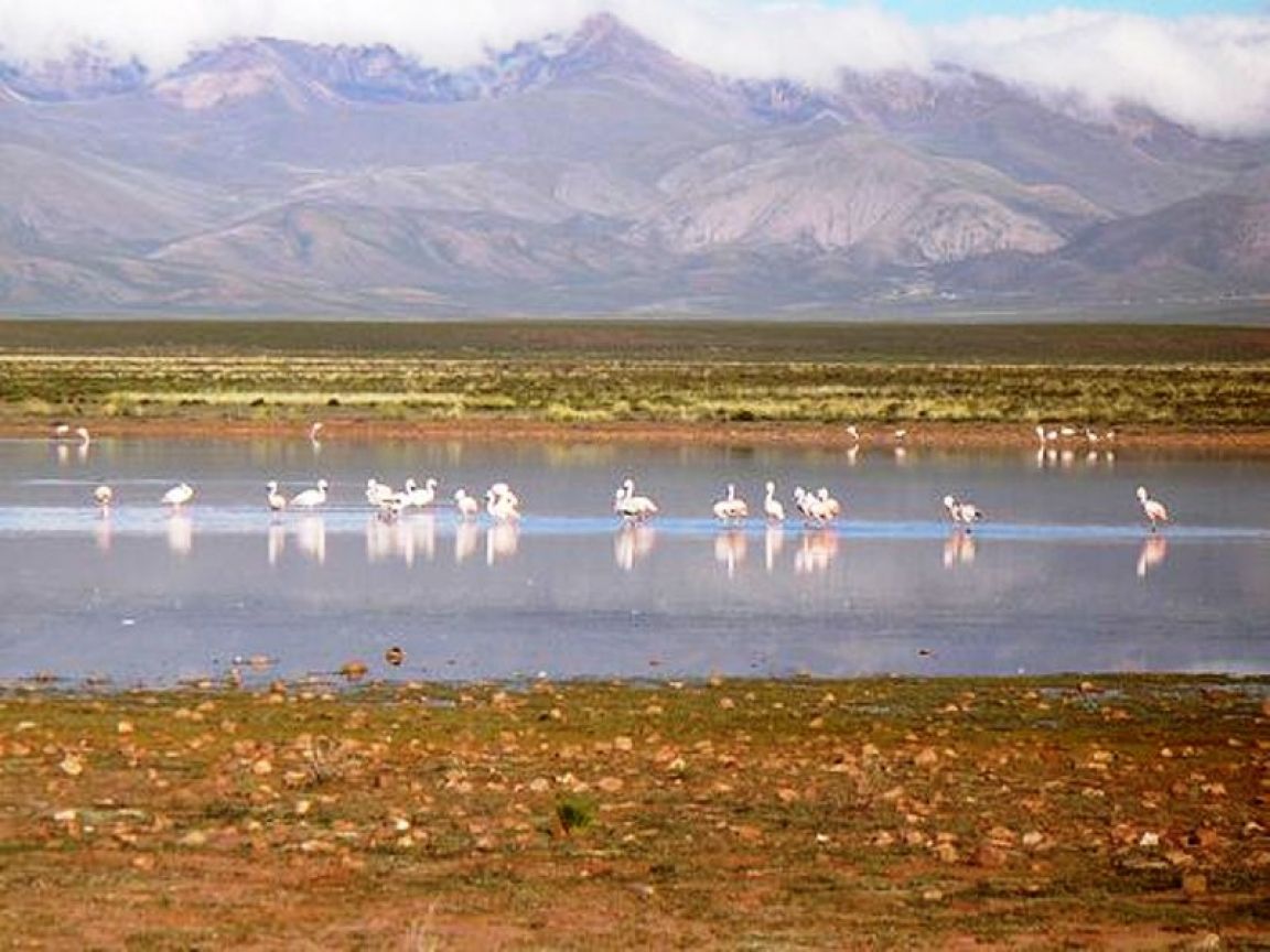 Laguna de Pozuelos