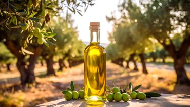 Aceite de oliva trucho: cómo reconocer los envases sospechosos y qué revisar antes de consumirlo.