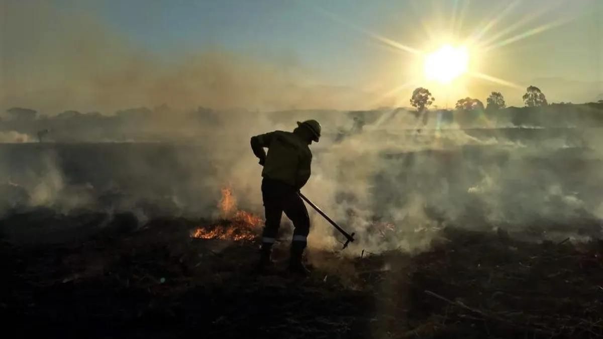 Incendios en Salta: Hay intencionalidad