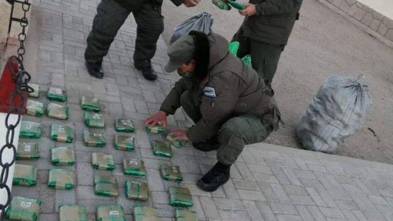 Salta: incautaron más de 440 kilos de hojas de coca