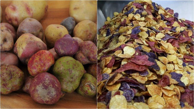¡De Jujuy al mundo! Lanzan snacks elaborados con papas andinas