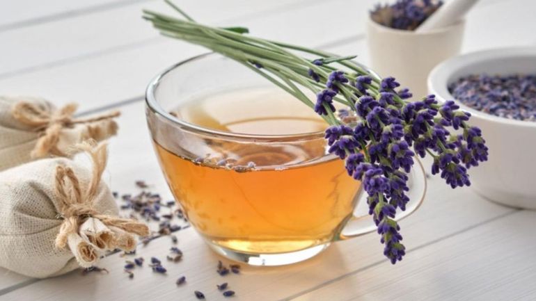 El truco infalible para reproducir la lavanda