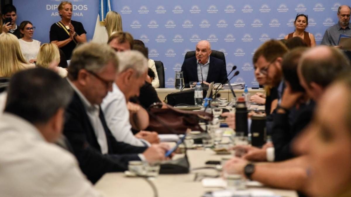 Continúa el debate de la Ley Ómnibus&nbsp;