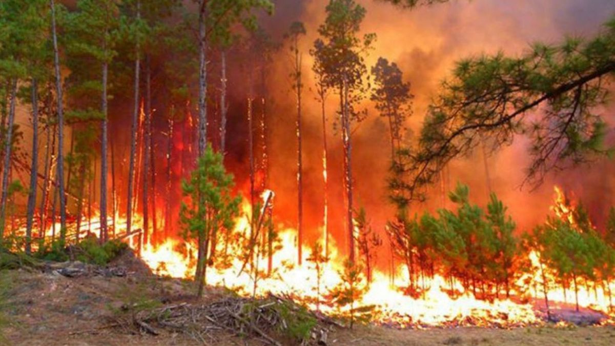 Prevención de incendios en campos