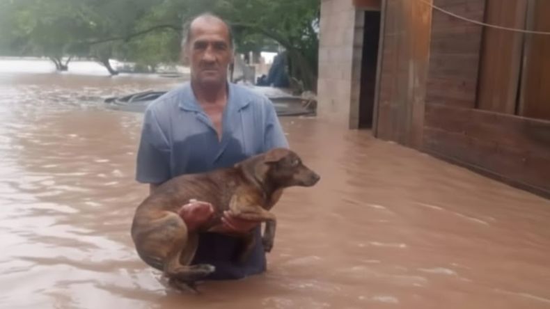 No me voy sin mis perros, dijo un vecino de El Galpón.