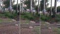 lo apunalaron en una pelea callejera y choco camino al hospital lo apunalaron en una pelea callejera y choco camino al hospital