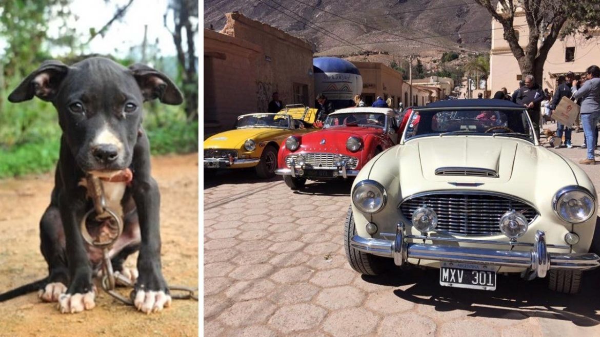 Todo Jujuy | autos clasicos 21.jpg