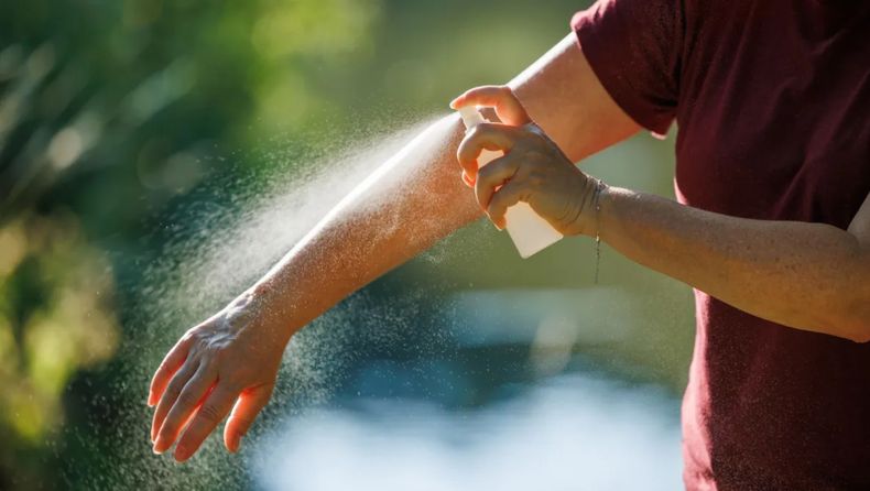 Caritas Jujuy distribuye gratis dos mil repelentes contra mosquitos (Foto ilustrativa)