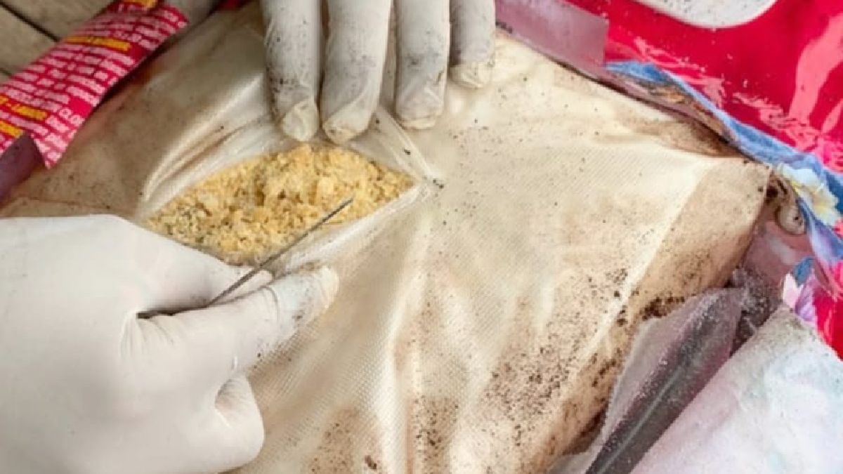 Salta: intentó cruzar a Bolivia con más de 3 kilos decocaína ocultos en un paquete de jabón en polvo