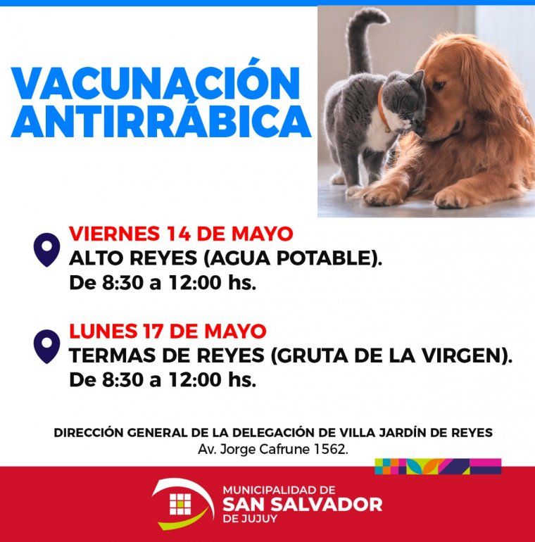 Vacunaci&oacute;n antirr&aacute;bica en Reyes.