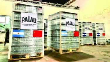 Palau fue exhibido en el pabellón argentino durante la feria China International Import Expo (CIIE) 2023.