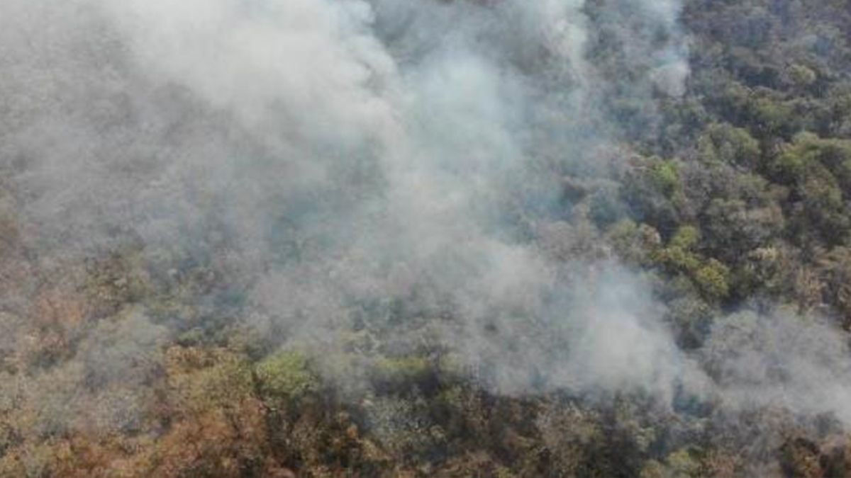 Incendios forestales en las yungas jujeñas.