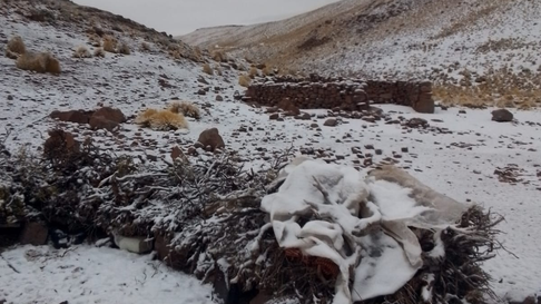 Todo Jujuy | Nieve en Jujuy